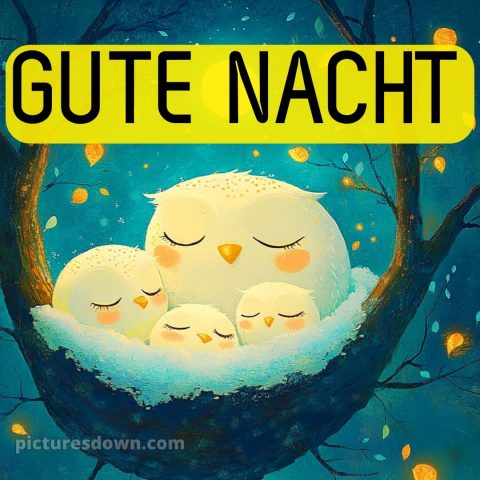 Gute nacht dienstag lustig bild 9 kostenlos