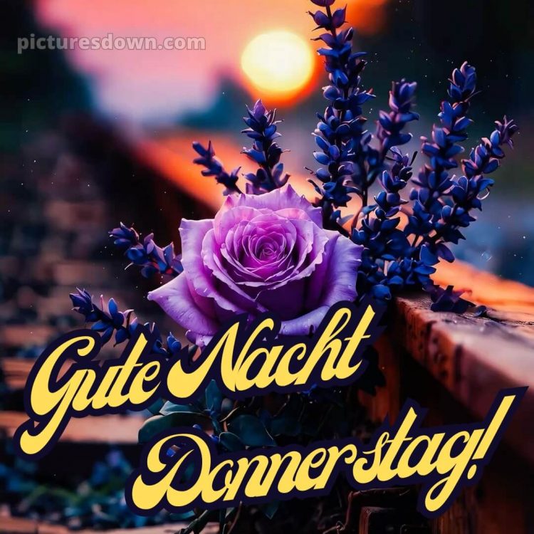 Gute nacht donnerstag bild 12 kostenlos
