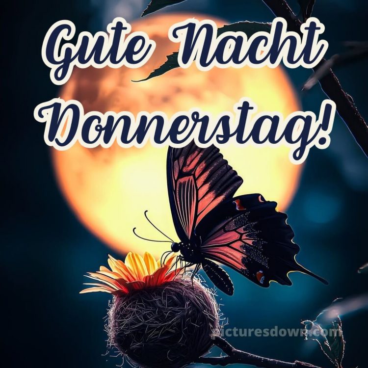 Gute nacht donnerstag bild 14 kostenlos