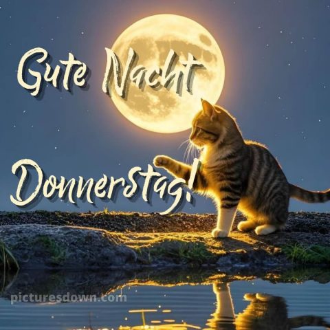 Gute nacht donnerstag bild 15 kostenlos