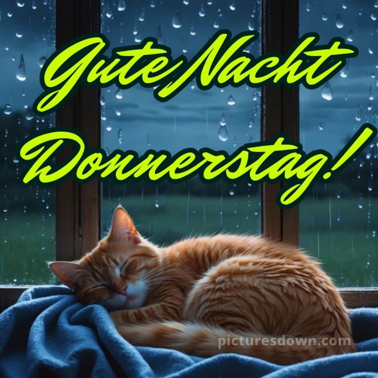 Gute nacht donnerstag bild 3 kostenlos