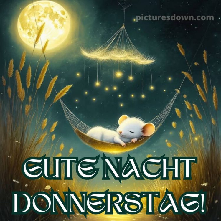 Gute nacht donnerstag bild 5 kostenlos
