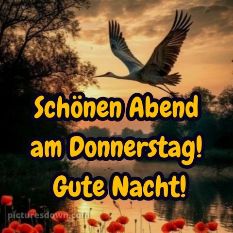 Gute nacht donnerstag bilder bild 1 kostenlos