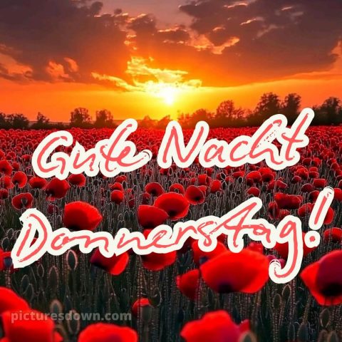 Gute nacht donnerstag bilder bild 13 kostenlos