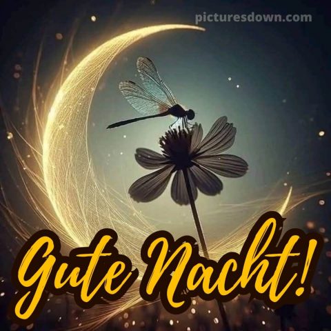 Gute nacht donnerstag bilder bild 3 kostenlos