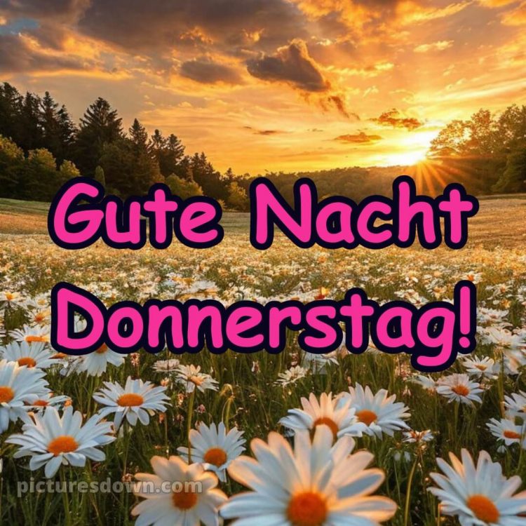 Gute nacht donnerstag bilder bild 8 kostenlos