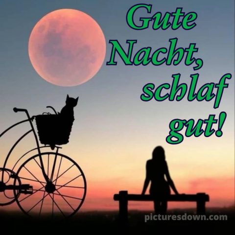 Gute nacht freitag bild 13 kostenlos