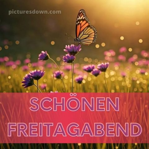 Gute nacht freitag bild 7 kostenlos