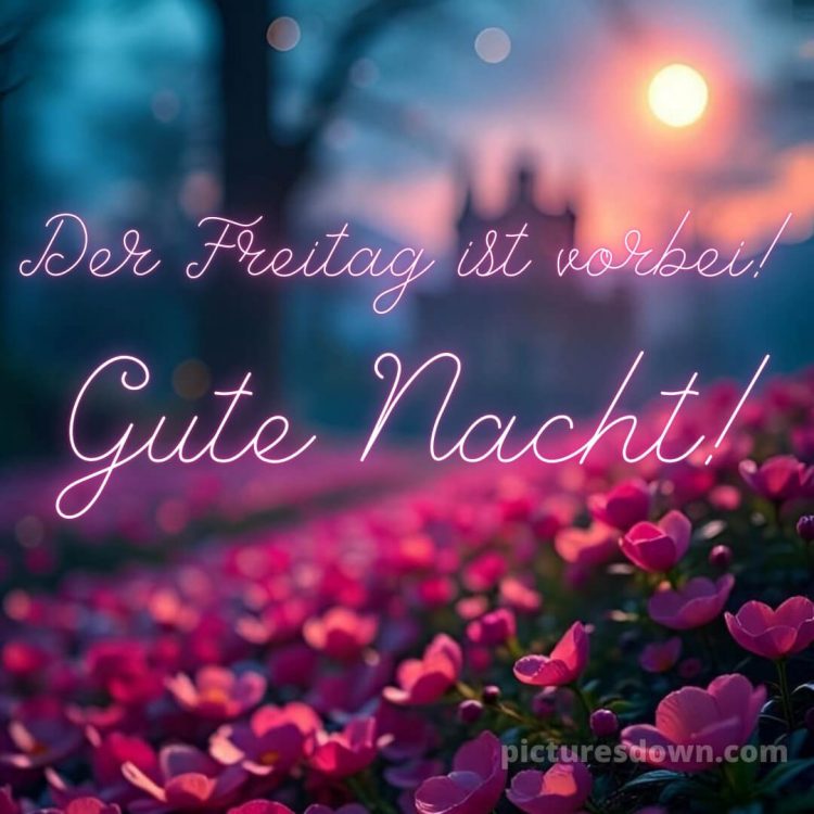 Gute nacht freitag bilder bild 2 kostenlos
