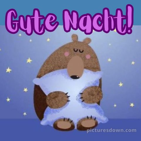 Gute nacht freitag lustig bild 12 kostenlos