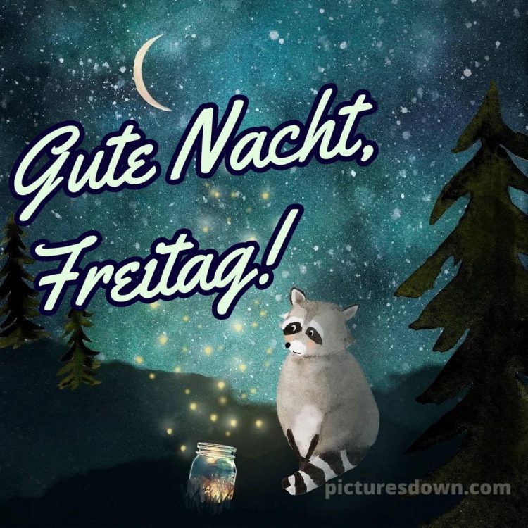 Gute nacht freitag lustig bild 6 kostenlos