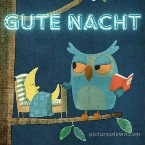 Gute nacht freitag lustig bild 8 kostenlos