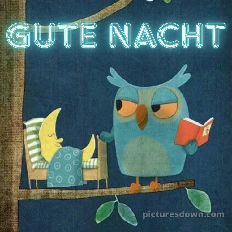 Gute nacht freitag lustig bild 8 kostenlos