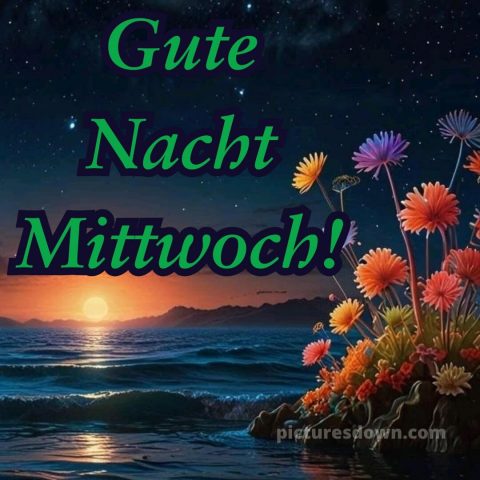 Gute nacht mittwoch bild 10 kostenlos