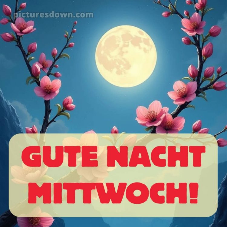 Gute nacht mittwoch bild 11 kostenlos