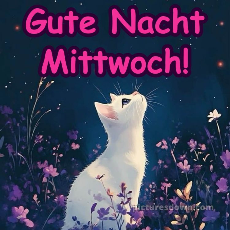 Gute nacht mittwoch bild 12 kostenlos