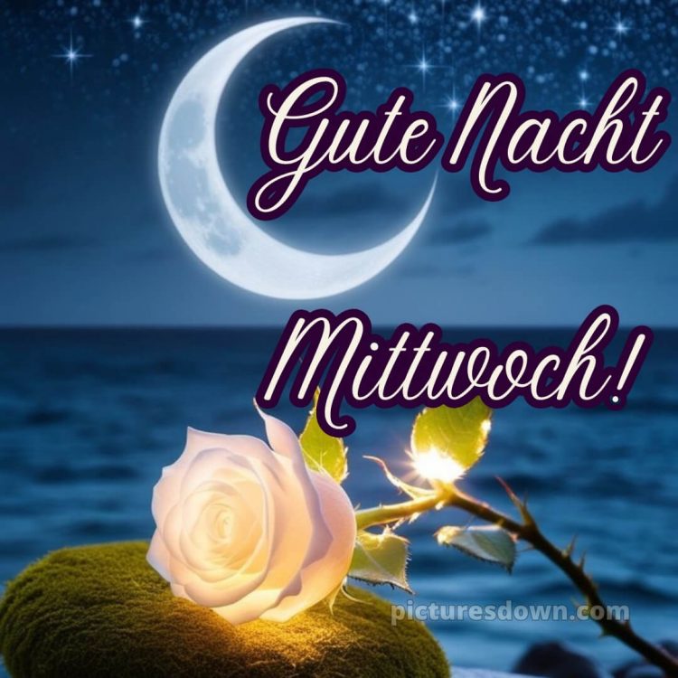 Gute nacht mittwoch bild 15 kostenlos