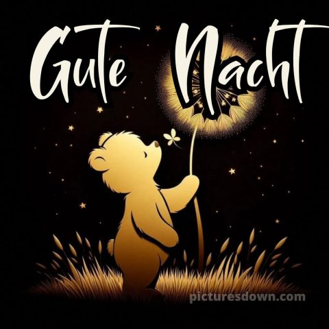 Gute nacht mittwoch bild 2 kostenlos