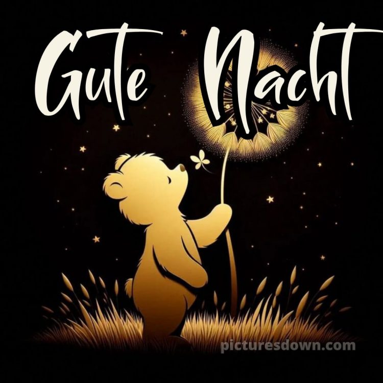 Gute nacht mittwoch bild 2 kostenlos