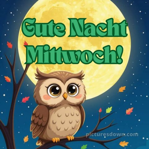 Gute nacht mittwoch bild 3 kostenlos