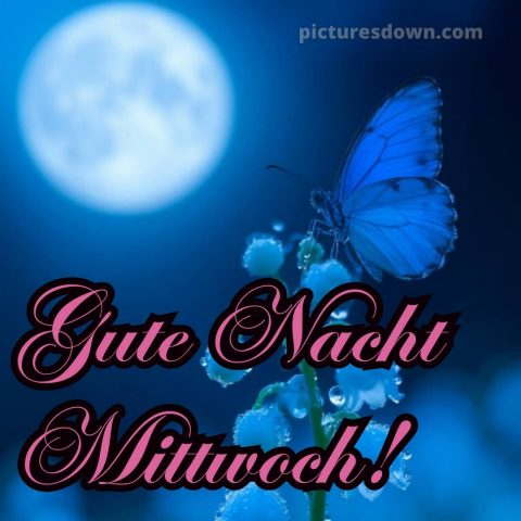 Gute nacht mittwoch bild 4 kostenlos
