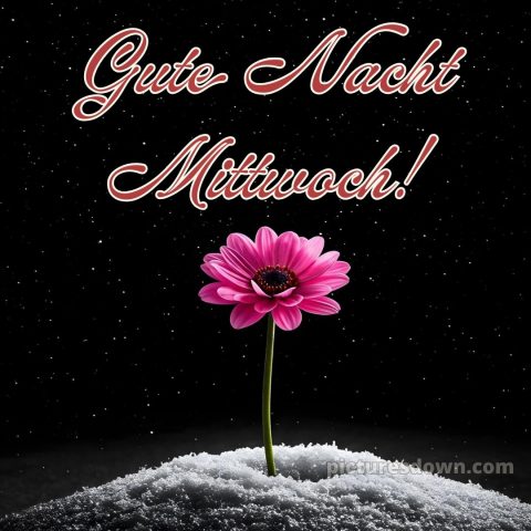 Gute nacht mittwoch bild 6 kostenlos