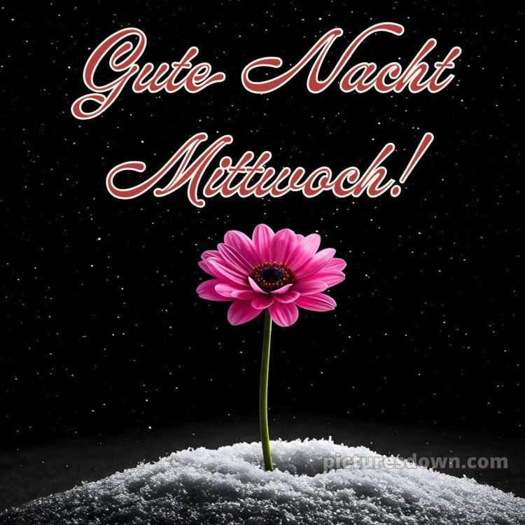 Gute nacht mittwoch bild 6 kostenlos