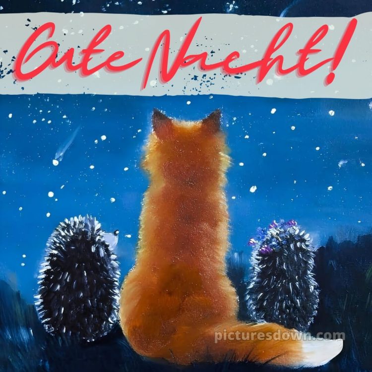 Gute nacht mittwoch bild 7 kostenlos