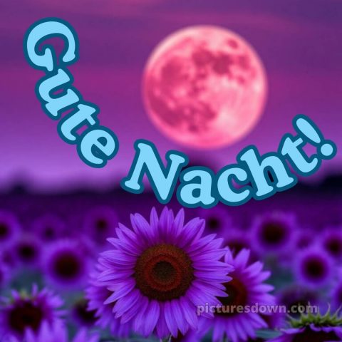 Gute nacht mittwoch bild 8 kostenlos