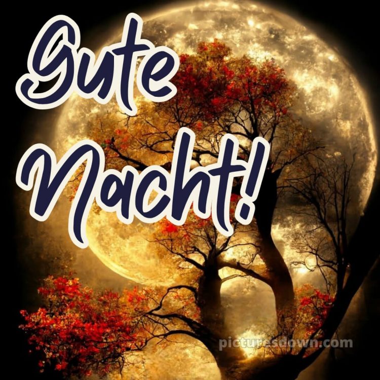 Gute nacht mittwoch abend bilder bild 8 kostenlos