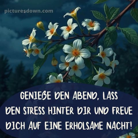 Gute nacht mittwoch abend bilder bild 9 kostenlos