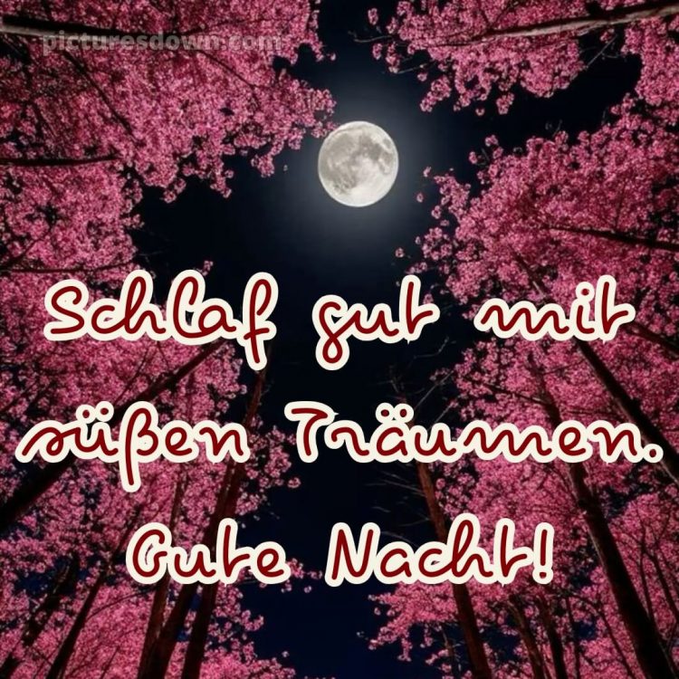 Gute nacht samstag bild 15 kostenlos