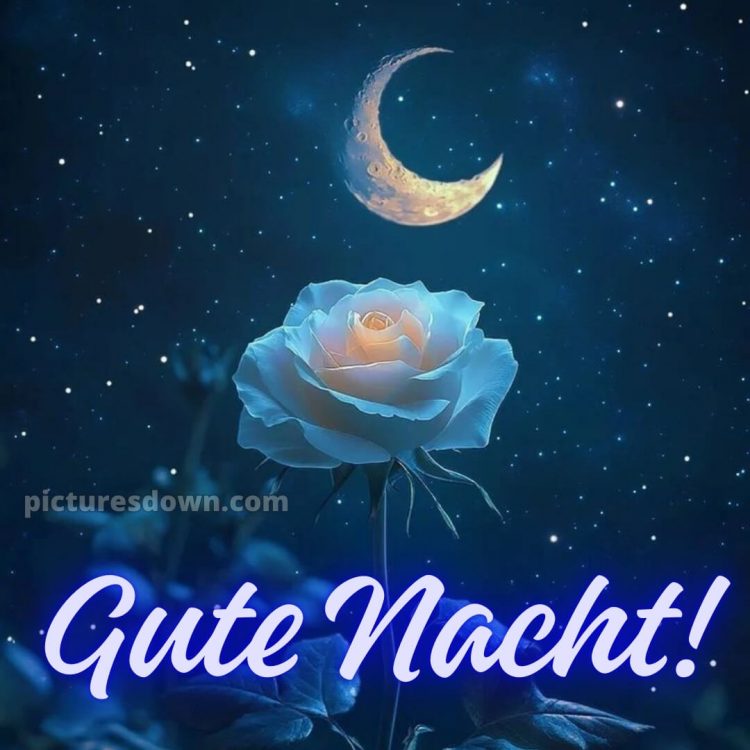 Gute nacht samstag bild 9 kostenlos