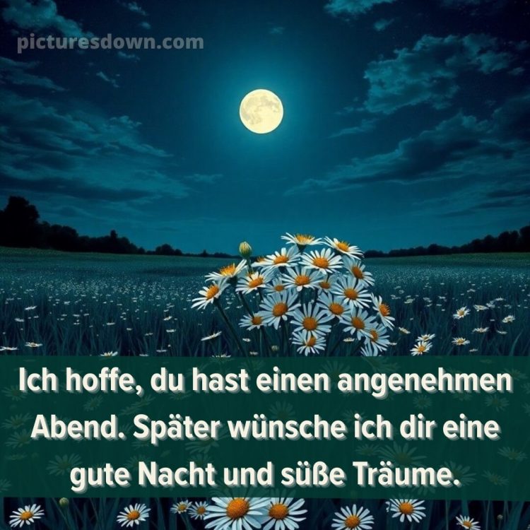 Gute nacht samstag bilder bild 12 kostenlos