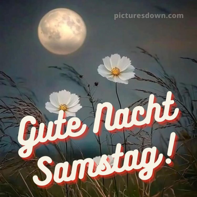 Gute nacht samstag bilder bild 13 kostenlos