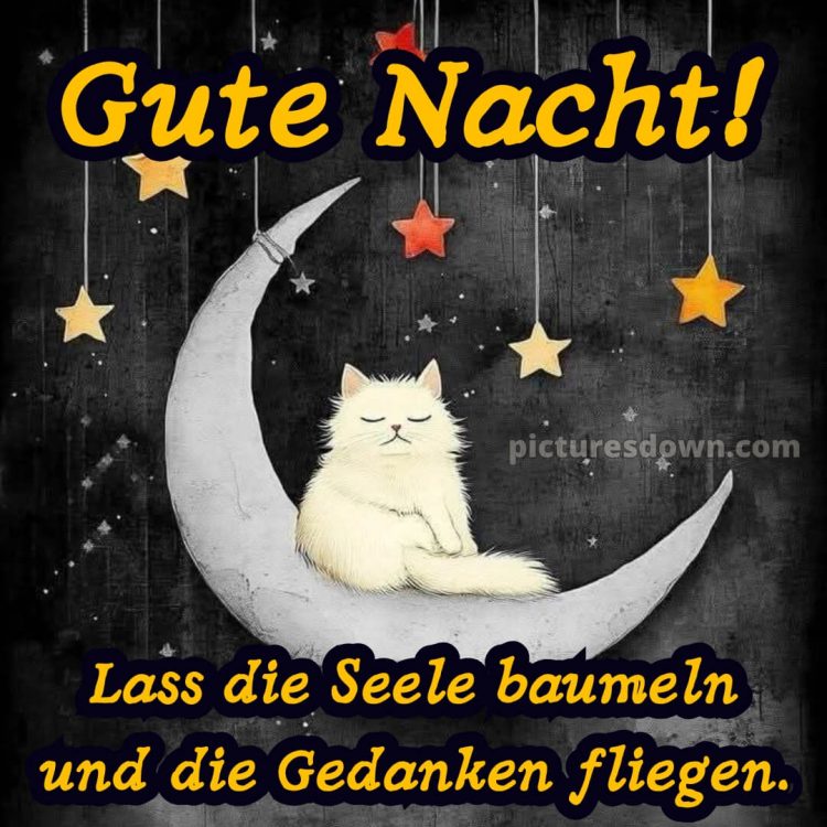Gute nacht samstag lustig bild 11 kostenlos