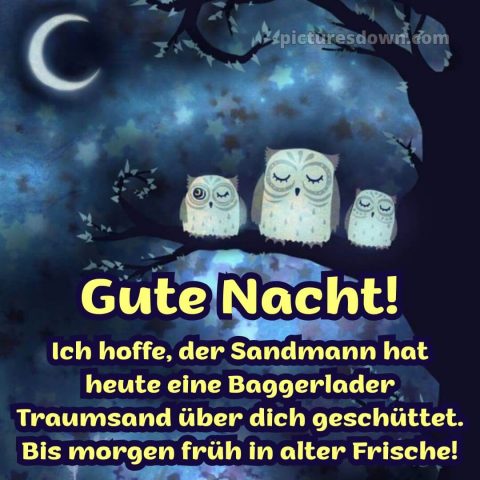 Gute nacht samstag lustig bild 6 kostenlos