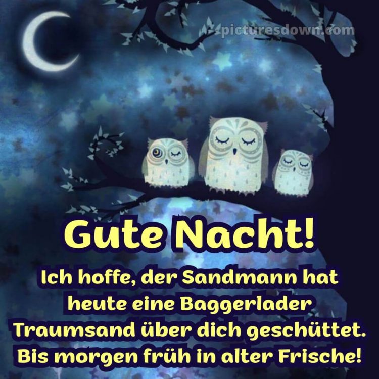 Gute nacht samstag lustig bild 6 kostenlos