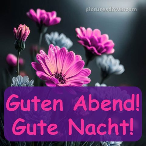 Mittwoch guten abend gute nacht bilder kostenlos bild 11 kostenlos