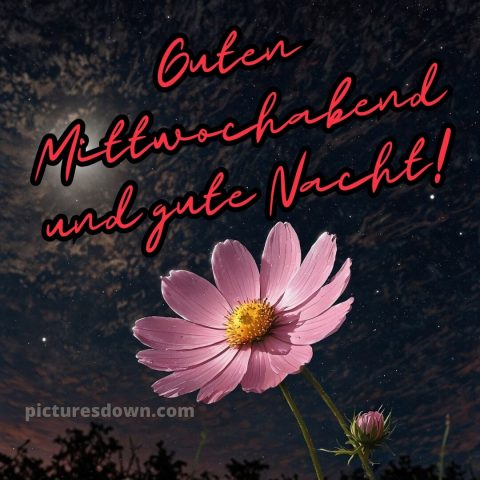Mittwoch guten abend gute nacht bilder kostenlos bild 14 kostenlos