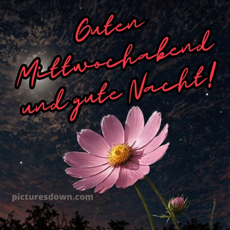 Mittwoch guten abend gute nacht bilder kostenlos bild 14 kostenlos
