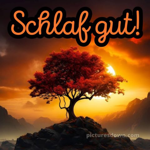 Mittwoch guten abend gute nacht bilder kostenlos bild 4 kostenlos