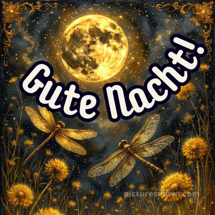 Mittwoch guten abend gute nacht bilder kostenlos bild 5 kostenlos