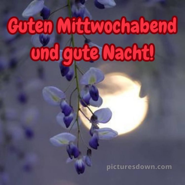 Mittwoch guten abend gute nacht bilder kostenlos bild 8 kostenlos