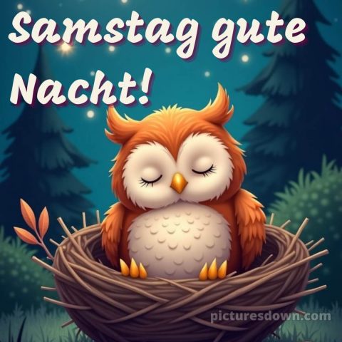 Samstag gute nacht bilder bild 2 kostenlos