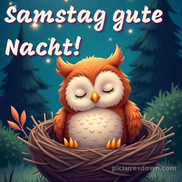 Samstag gute nacht bilder bild 2 kostenlos