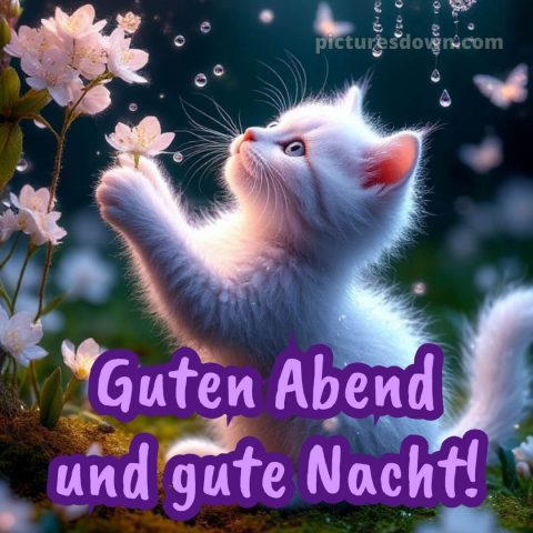 Schönen dienstag abend gute nacht bild 12 kostenlos