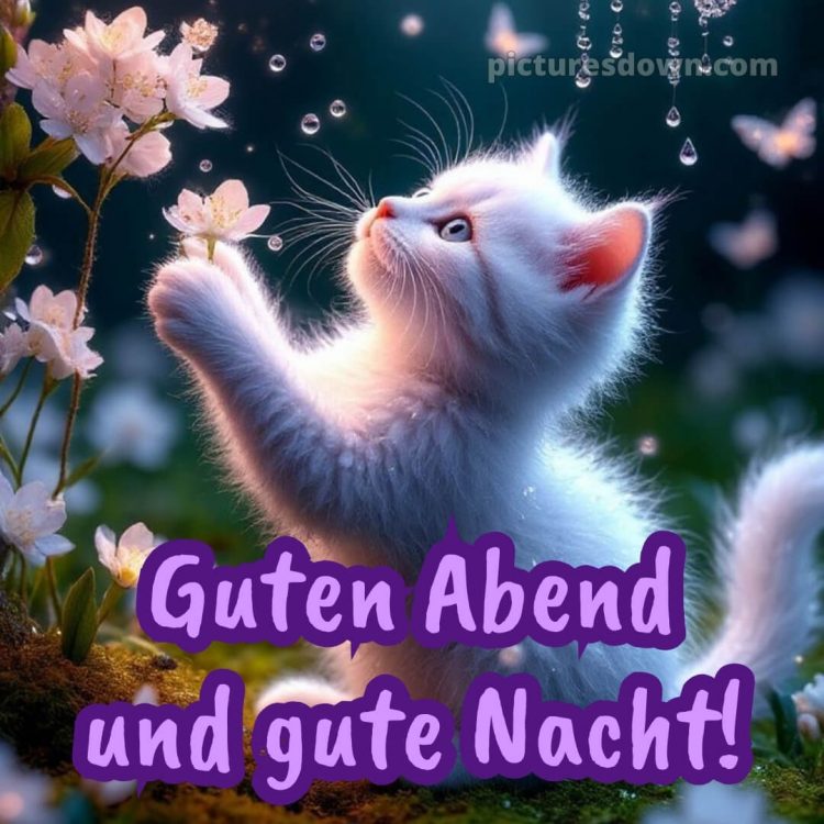 Schönen dienstag abend gute nacht bild 12 kostenlos