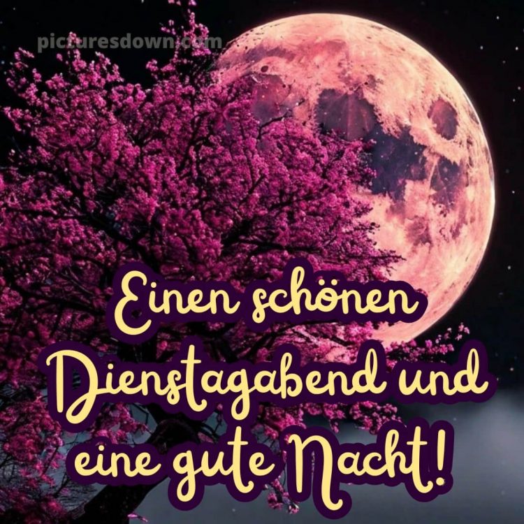 Schönen dienstag abend gute nacht bild 13 kostenlos