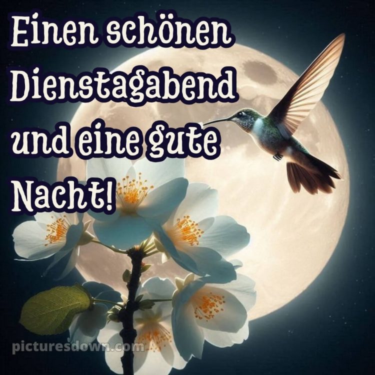 Schönen dienstag abend gute nacht bild 14 kostenlos